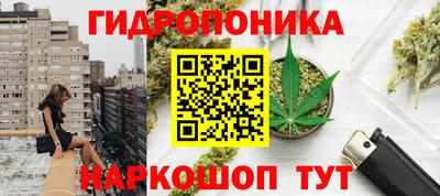 прущие грибы Бугуруслан